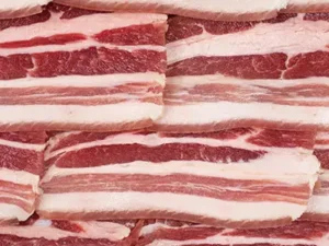 Bacon Layout 18/22 Red