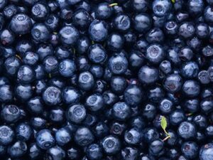 Blueberries