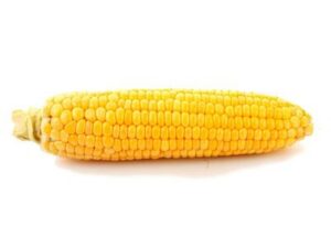 Corn Cob With Butter 10"