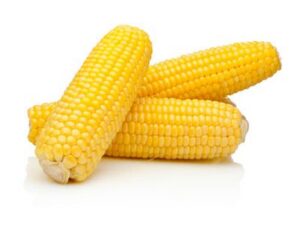 Corn 5" Cob
