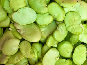 Fava Beans