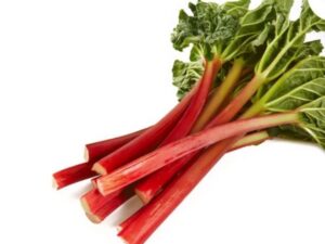 Rhubarb