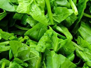 Spinach Chopped