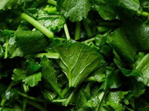 Turnip Greens Chopped