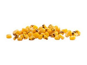 Flame Roasted Sweet Cut Corn